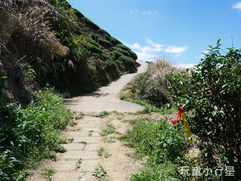 雲嘉五連峰22.JPG