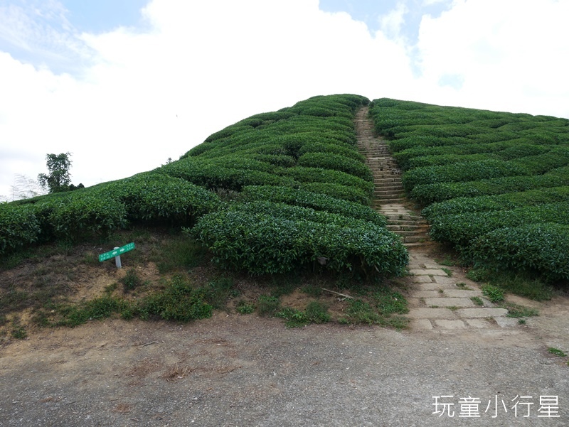 雲嘉五連峰31.JPG