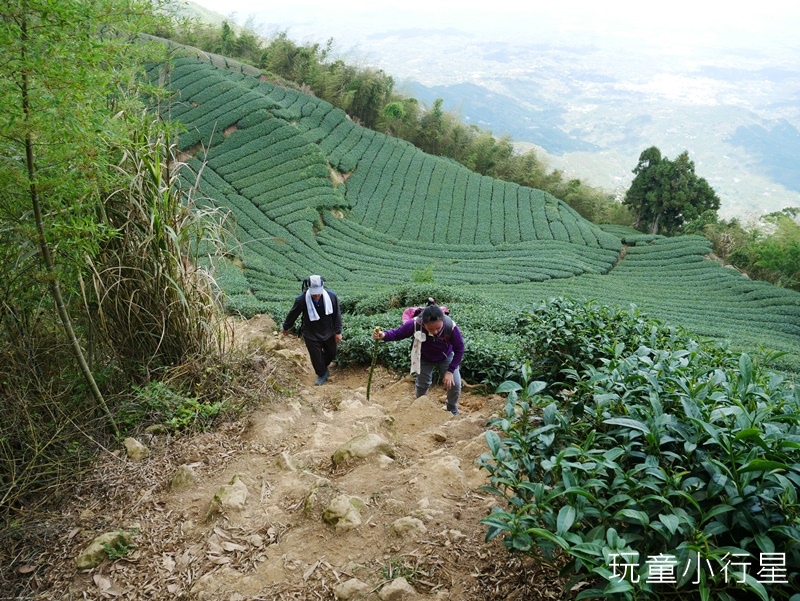 雲嘉五連峰34.JPG