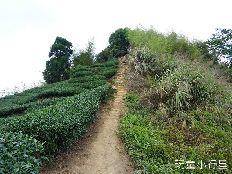 雲嘉五連峰33.JPG