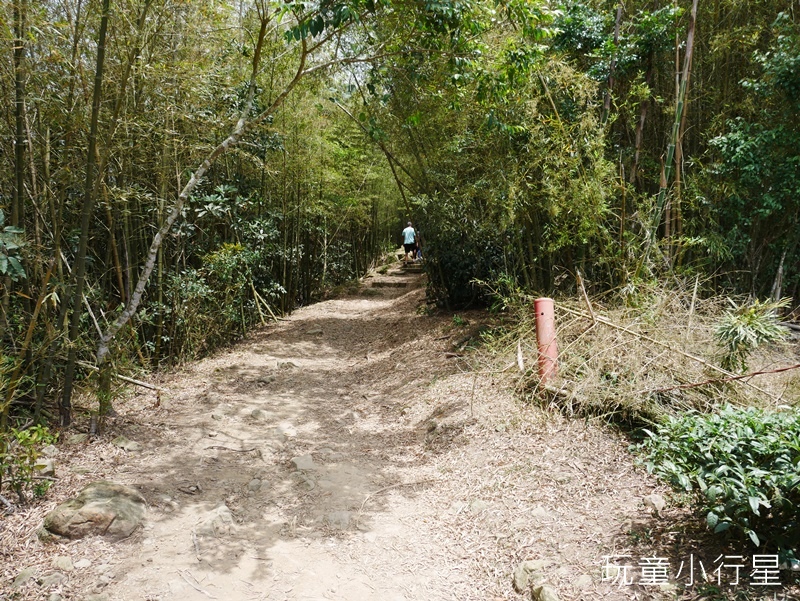 雲嘉五連峰40.JPG