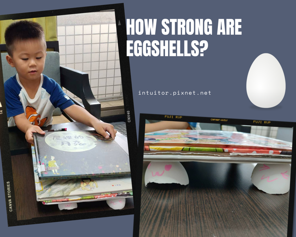 How Strong are Eggshells.png