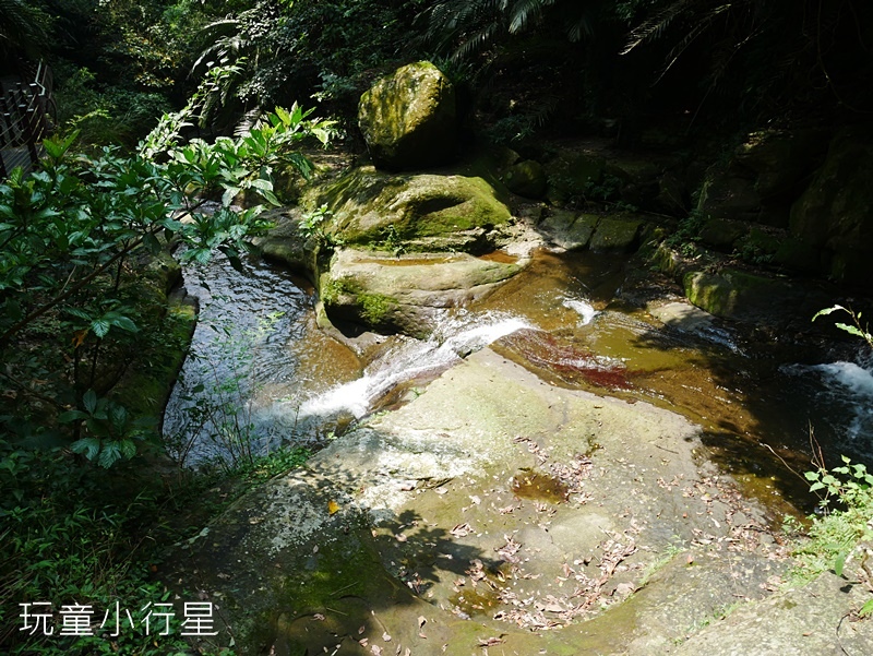 雲林草嶺16.JPG