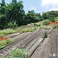 雲林草嶺峭壁雄風3.JPG