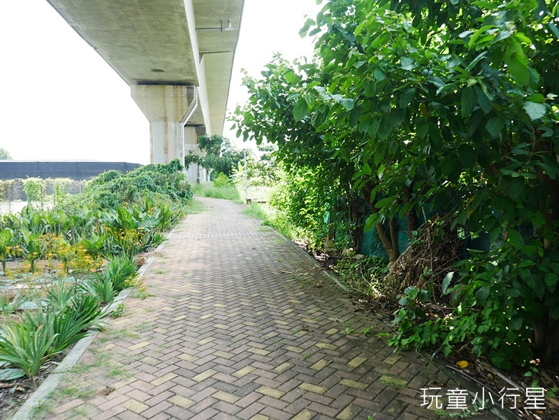 橋頭糖廠4.JPG