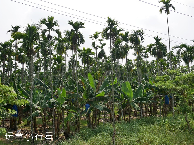 萬巒彩繪吊橋9.JPG