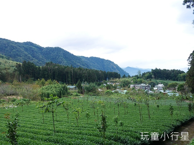 頂湖步道16.JPG