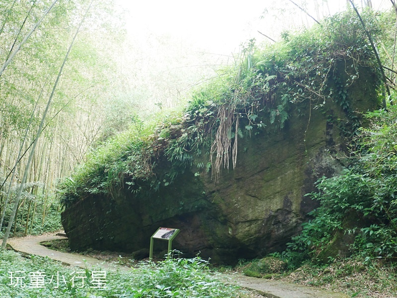 頂湖步道11.JPG