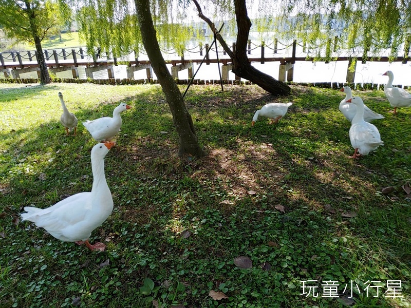 奇美博物館都會公園7.jpg