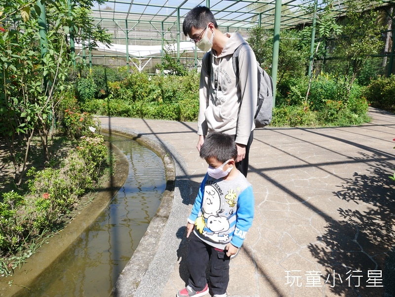 獅山公園金獅湖16.JPG