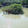 獅山公園金獅湖21.JPG