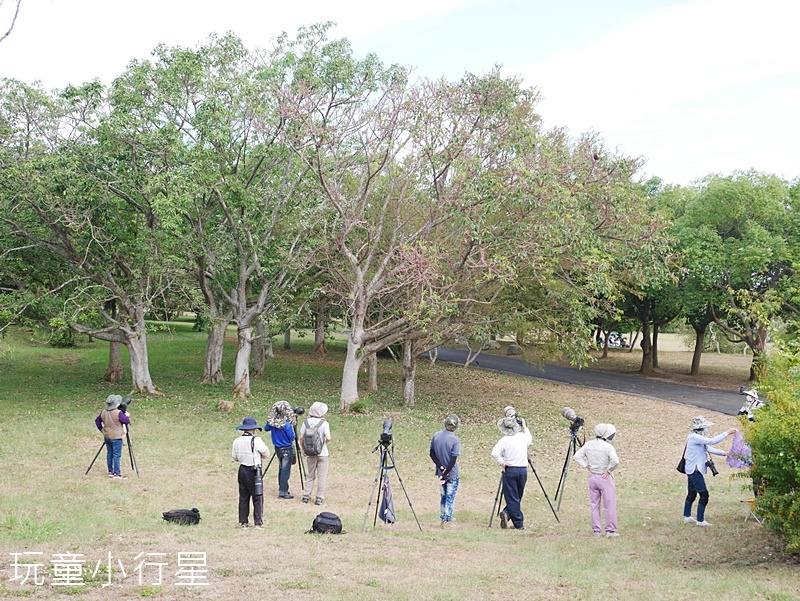 台中都會公園3.JPG