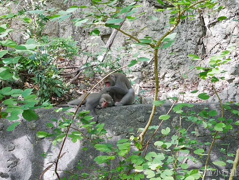 柴山步道3.JPG