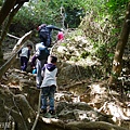 柴山步道9.JPG