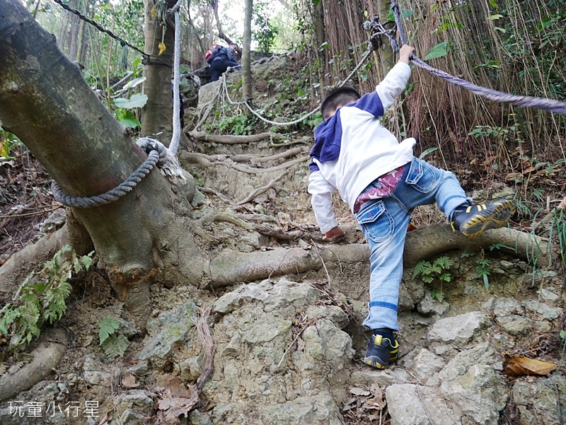 柴山步道11.JPG