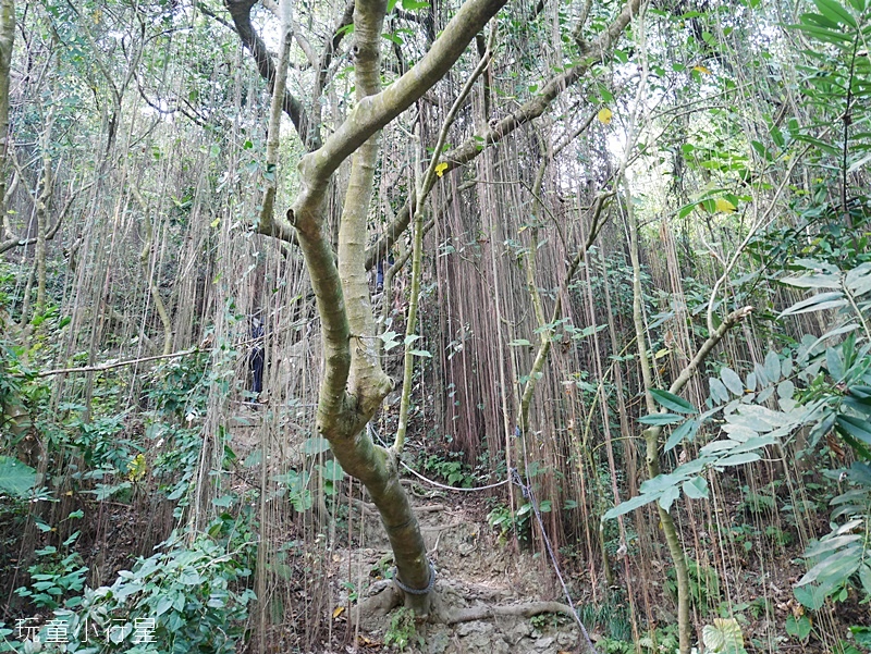 柴山步道10.JPG