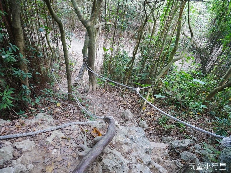 柴山步道12.JPG