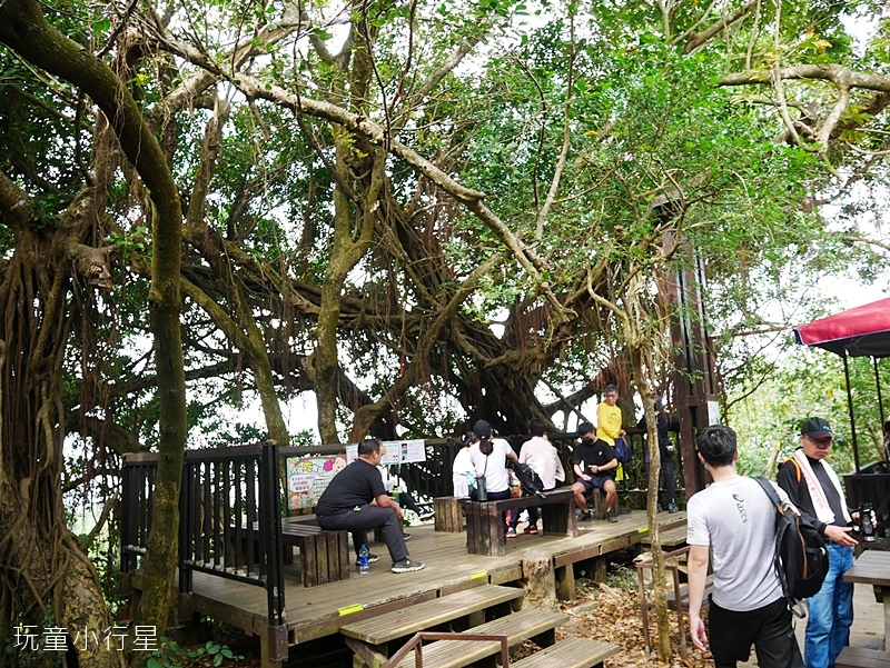 柴山步道14.JPG