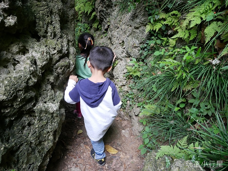 柴山步道24.JPG