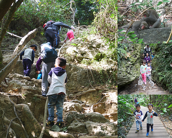 高雄柴山步道.png