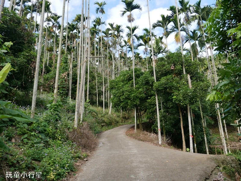 嘉義阿拔泉步道3.JPG