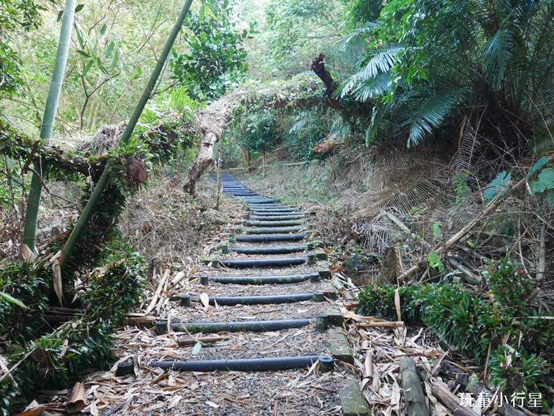 台南枕頭山8.JPG