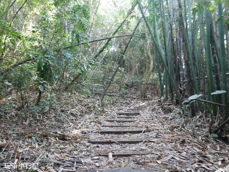 台南枕頭山9.JPG