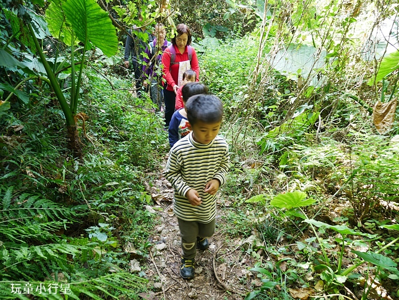 台南枕頭山15.JPG