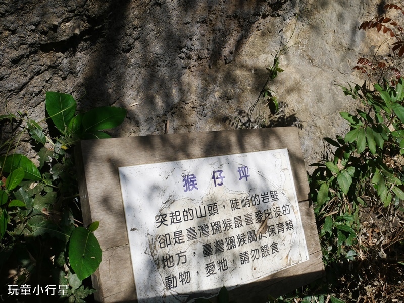 燕巢金山道院雞冠山8.JPG