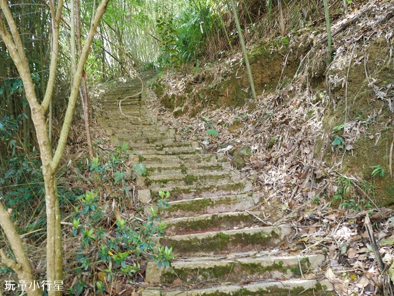 雲林草嶺O型走3.JPG