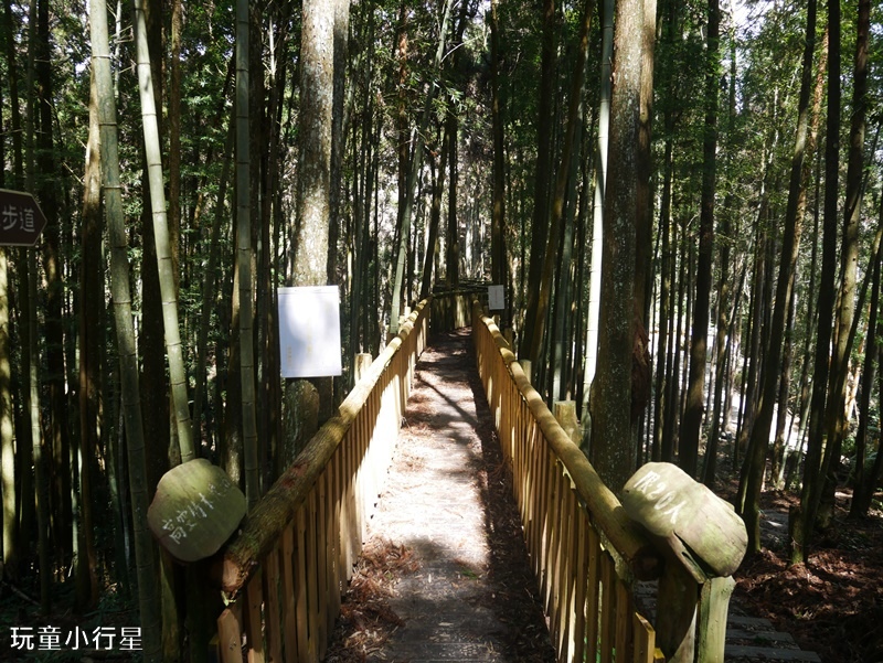 雲林草嶺O型走18.JPG