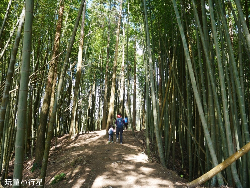 雲林草嶺O型走16.JPG