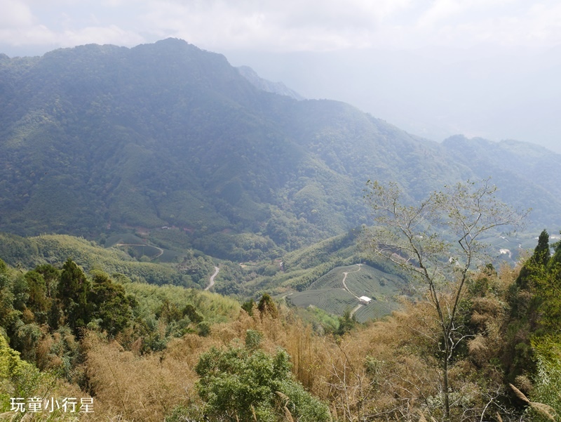 雲林草嶺O型走24.JPG