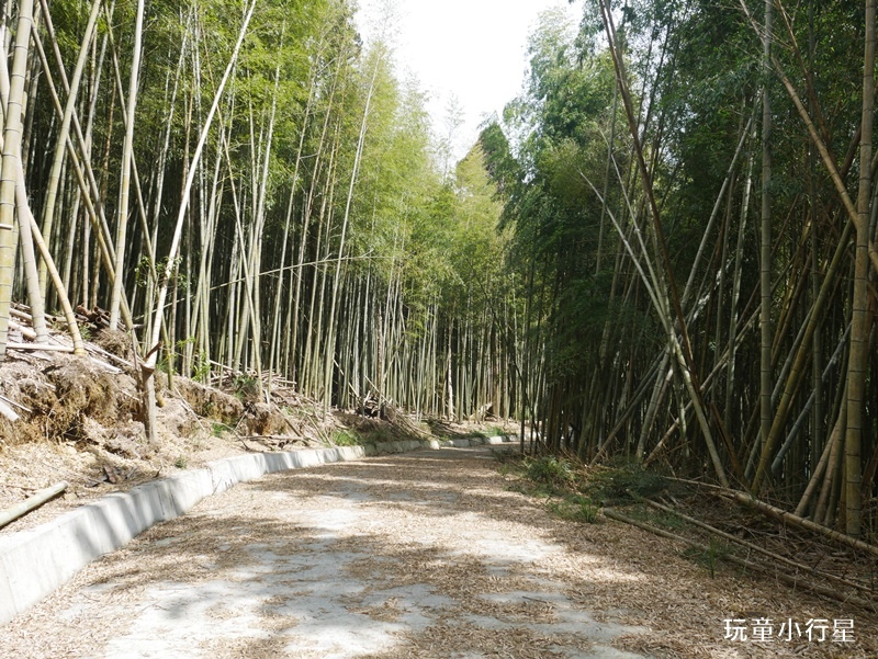 雲林草嶺O型走23.JPG