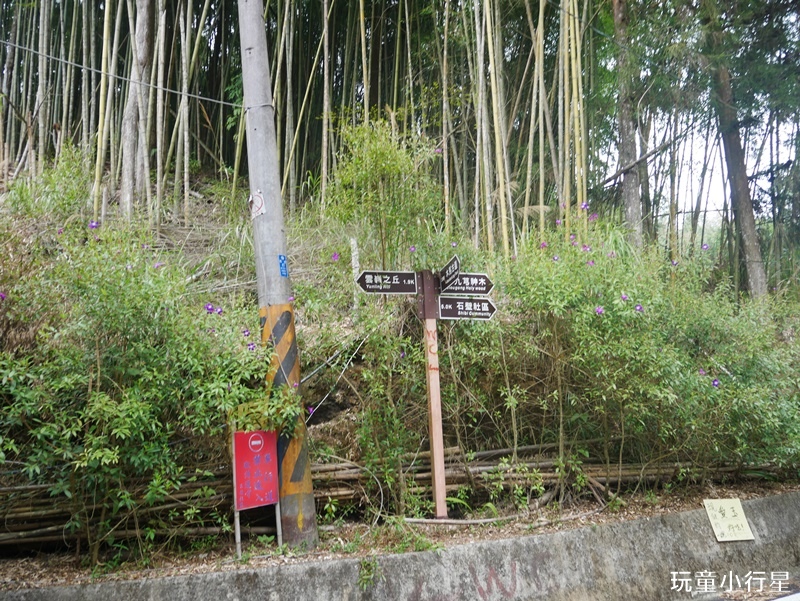 雲林草嶺O型走29.JPG