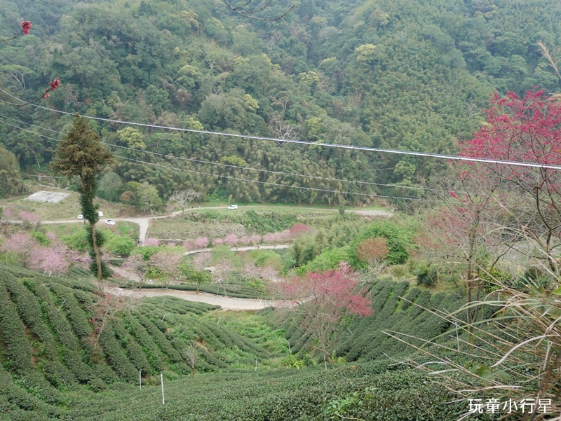 雲林草嶺O型走30.JPG