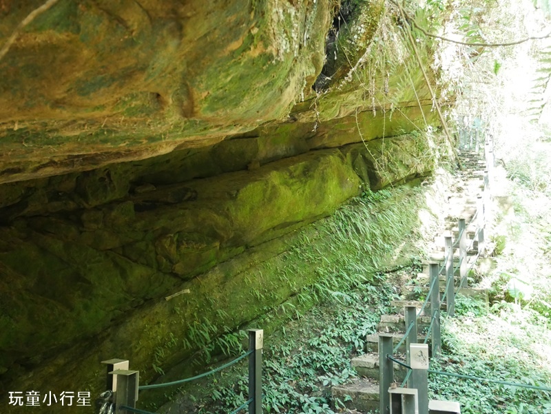 雲林草嶺遊龍潮步道7.JPG