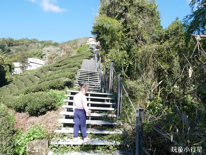 雲林草嶺遊龍潮步道8.JPG