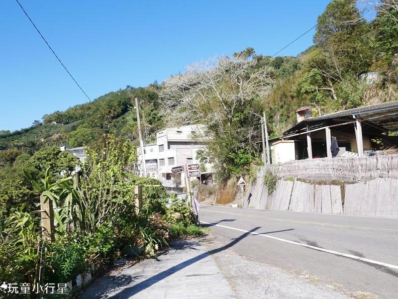 雲林草嶺遊龍潮步道9.JPG