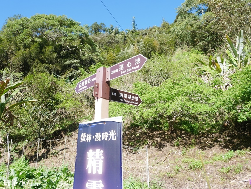 雲林草嶺遊龍潮步道10.JPG