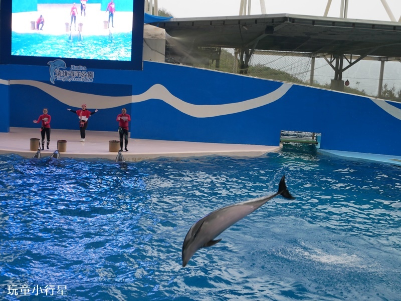 花蓮遠雄海洋公園7.JPG