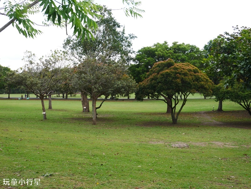 台東卑南遺址文化公園2.JPG