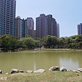 凹仔底森林公園17.JPG