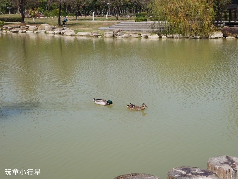 凹仔底森林公園21.JPG