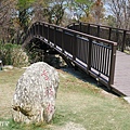 凹仔底森林公園20.JPG