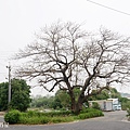 漯底山自然公園2.JPG