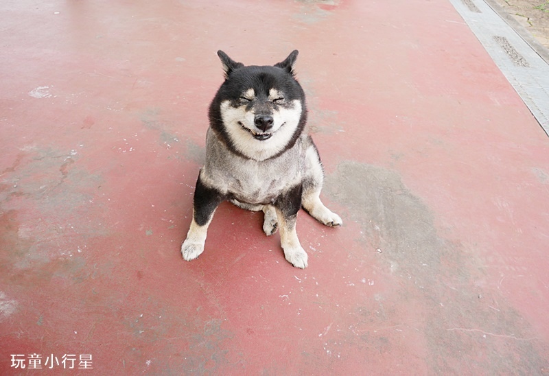 漯底山自然公園10.JPG