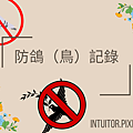 抗鴿（鳥）記錄.png