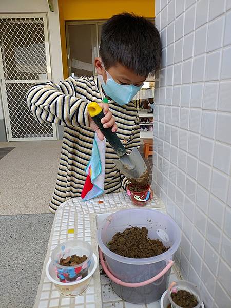 生命教育~種植小豆豆.jpg