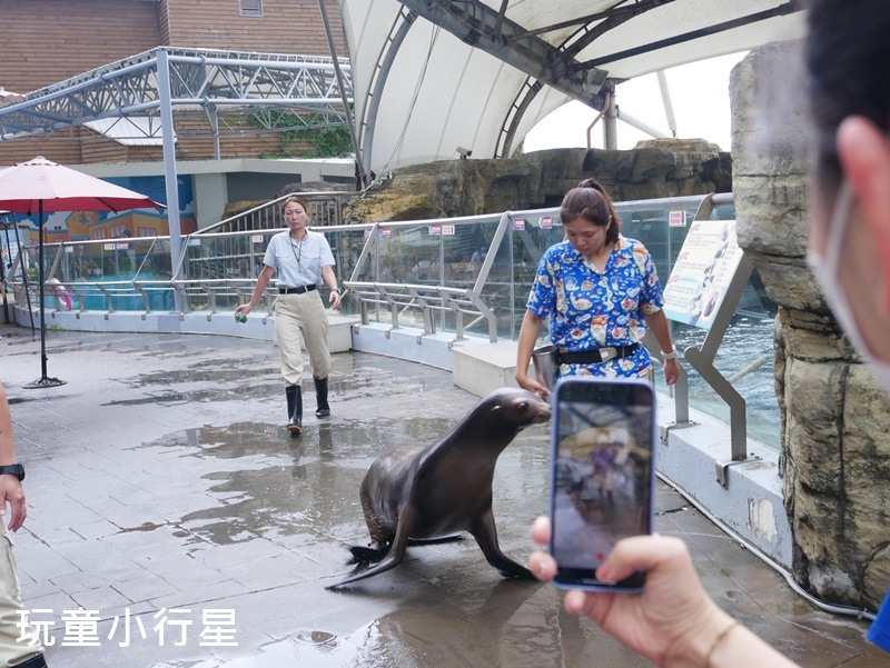 花蓮遠雄海洋公園1.JPG